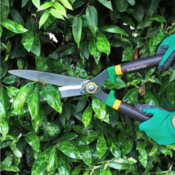 Nożyce do żywopłotu PANTERA Grüntek 540/230mm drewniane uchwyty